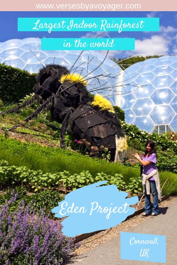 Pinterest image with a girl standing and pointing towards a giant bee with huge dome in the background