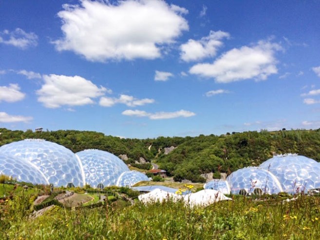 The domes of the Eden Project in Cornwall among trees