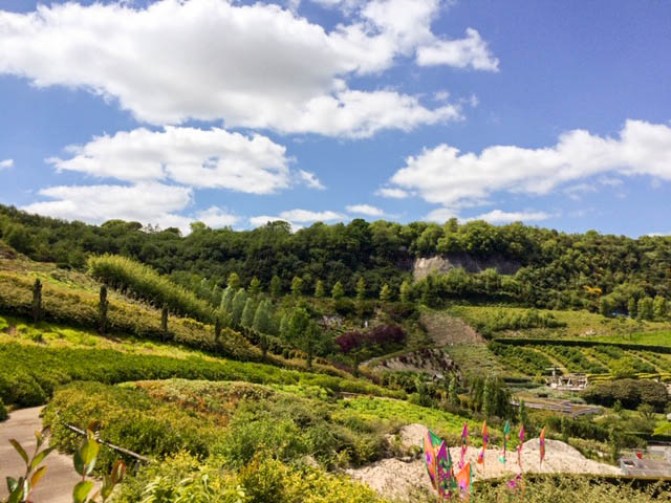 Outdoor green trees and plants over a vast area 