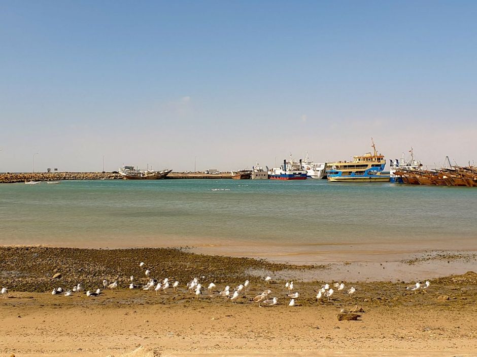 Ferries and old boats in the distance at the port and seagulls on the shore